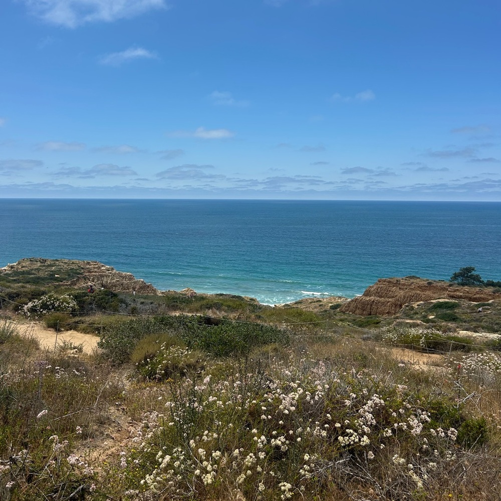 welcome to my closet 🧺